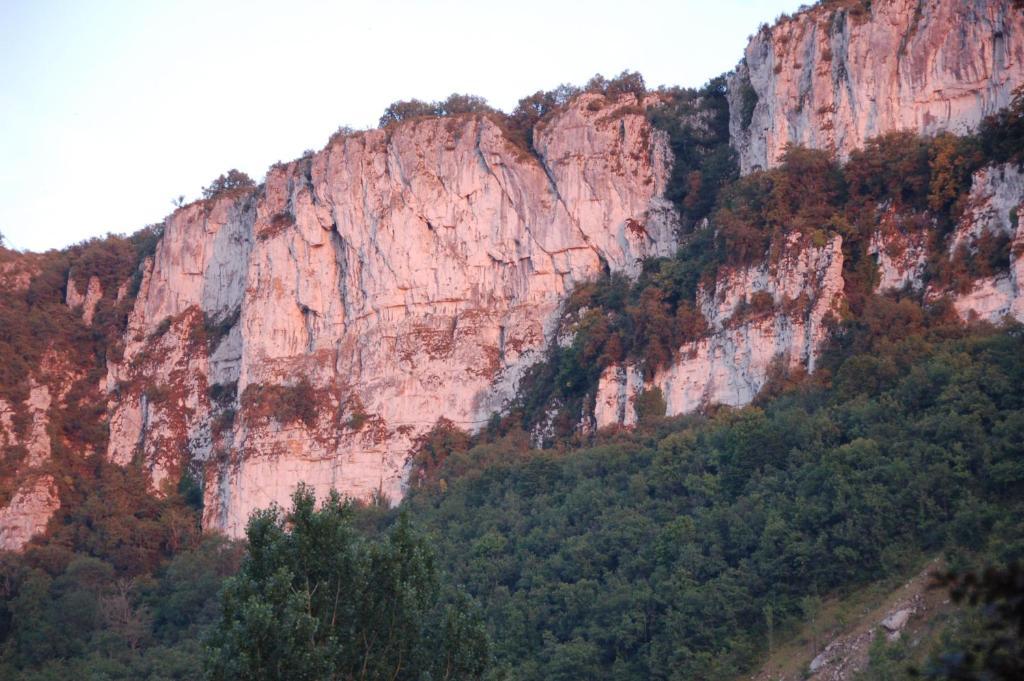 Auberge Lion D'Or Saint-Antonin Εξωτερικό φωτογραφία